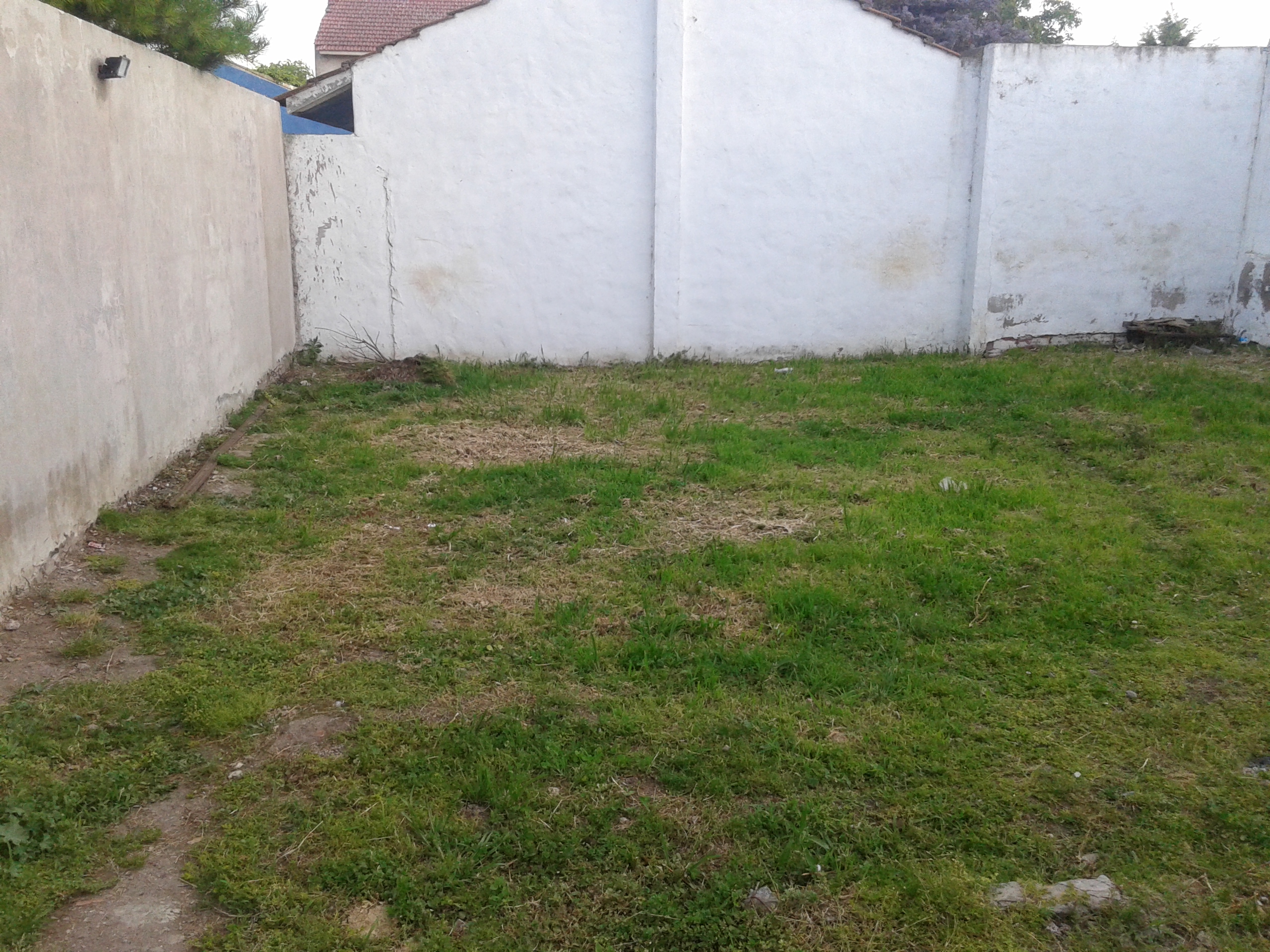 38 Nº717 · Balcarce — foto 16