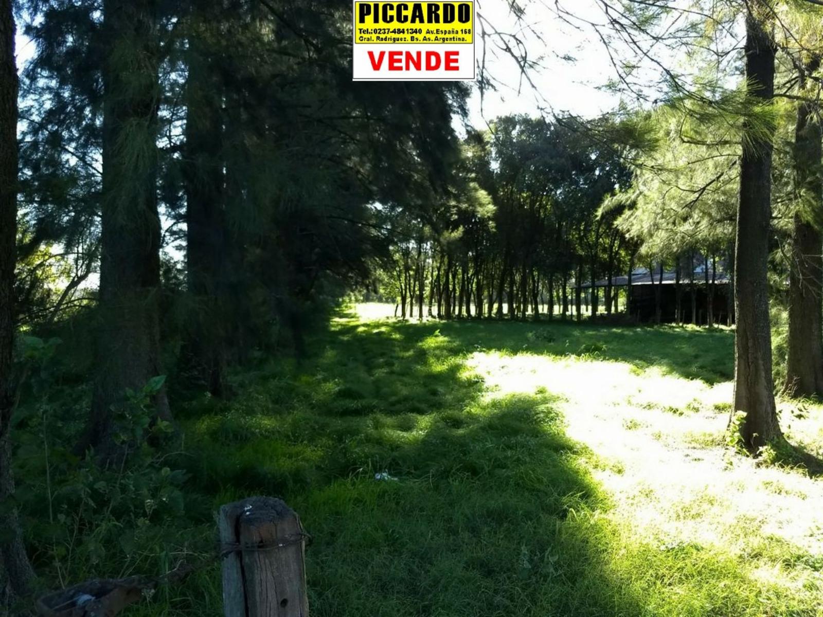 Ruta 24 · General Rodriguez — foto 18