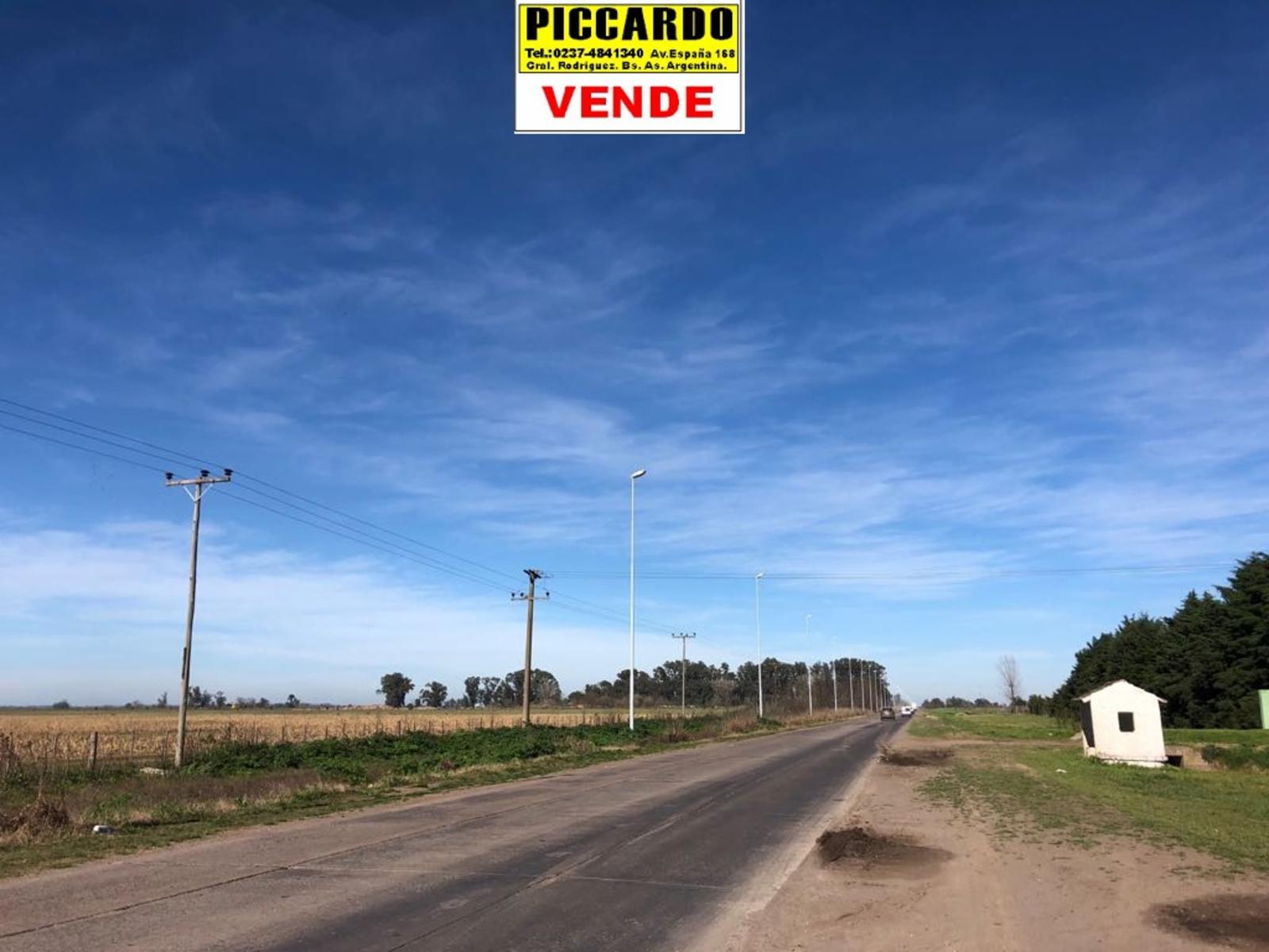 Ruta 24 · General Rodriguez — foto 20