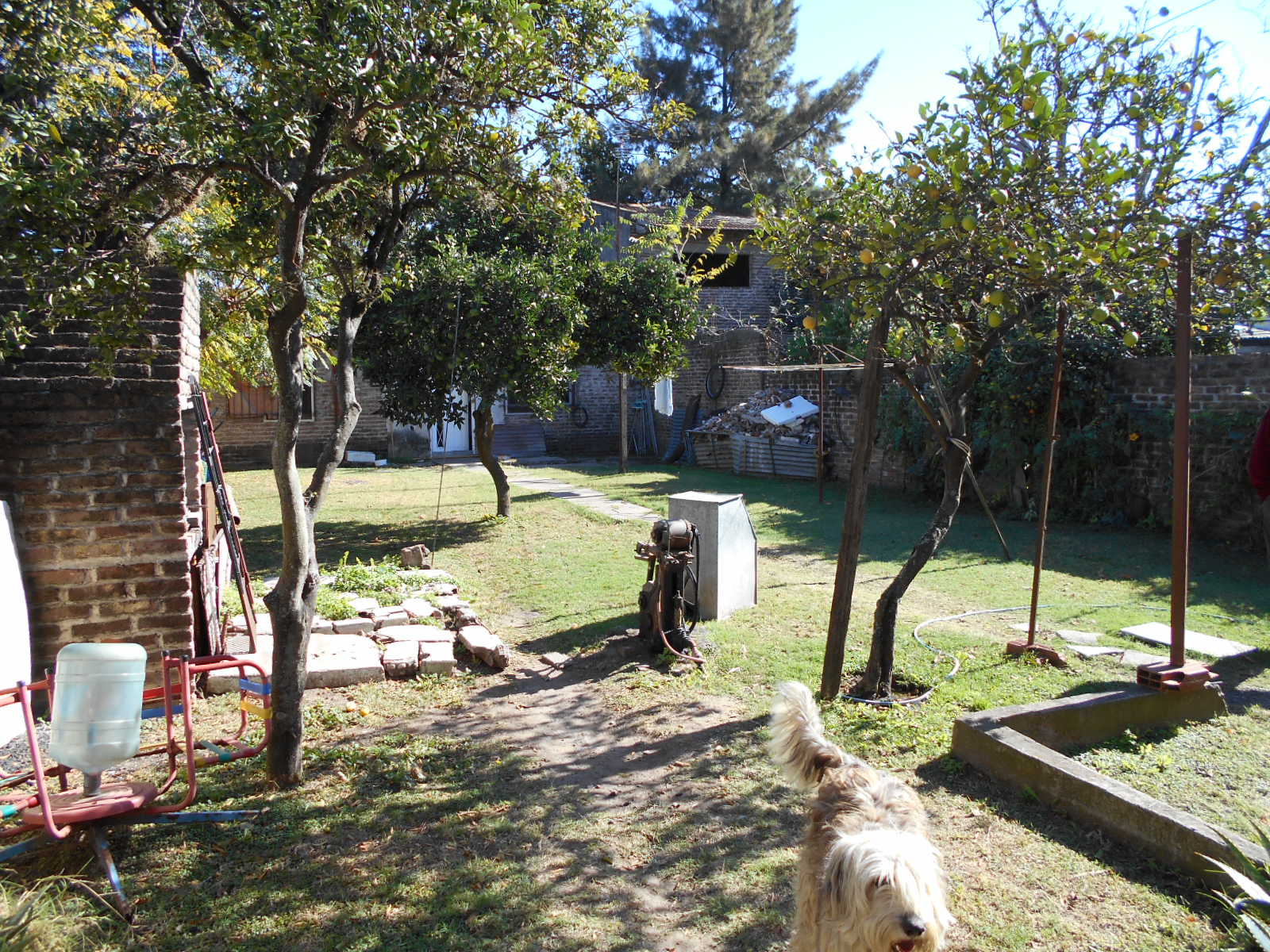 Planes 2600 · Hurlingham — foto 6