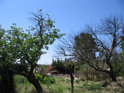 LOTE AMPLIO ZONA RESIDENCIAL LA GRANJA