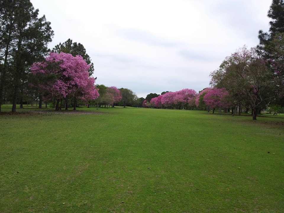 RC-Alquila CASA-CHALET-B° GOLF CLUB-Corrientes
