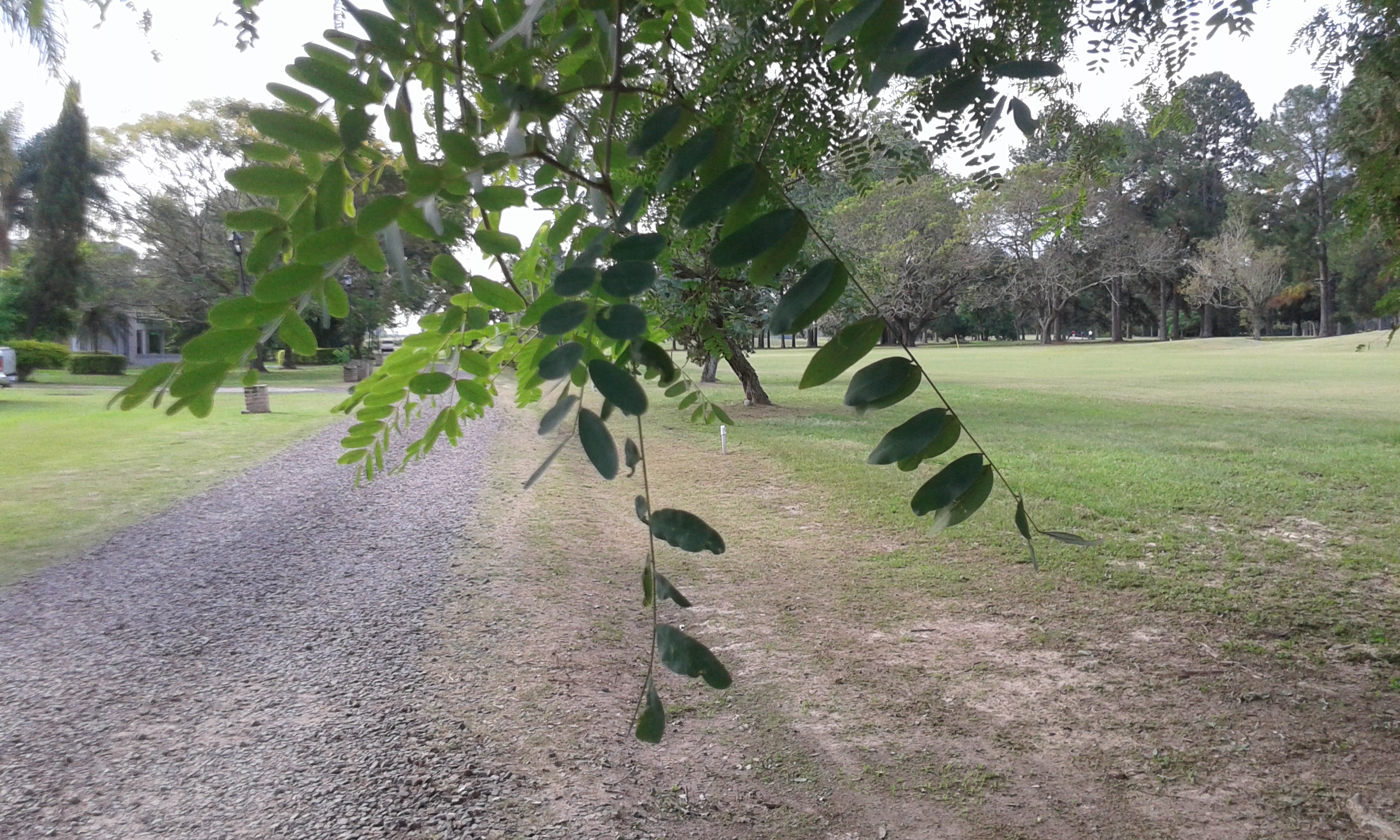 GOLF CLUB-Santa Ana Corrientes · Capital — foto 4
