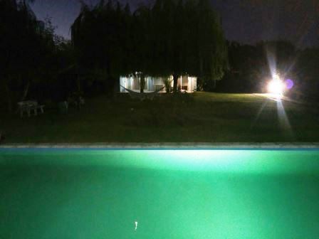 Pancha Hernandez · La Capital — foto 65