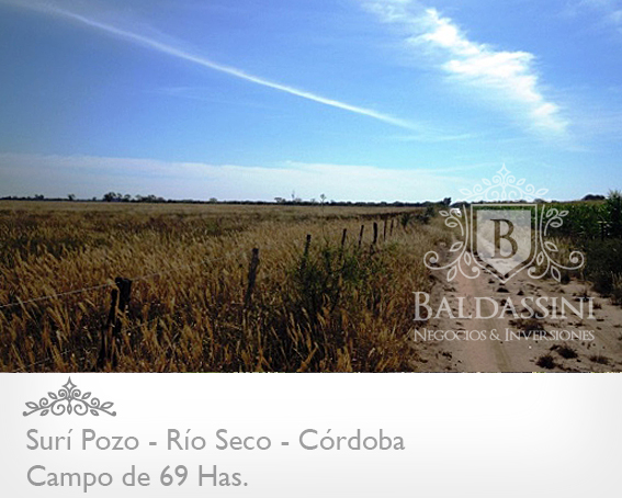 69 HECTÀREAS EN SURÌ POZO / SEBASTIÀN ELCANO / RÌO SECO / CÒRDOBA / ARGENTINA
