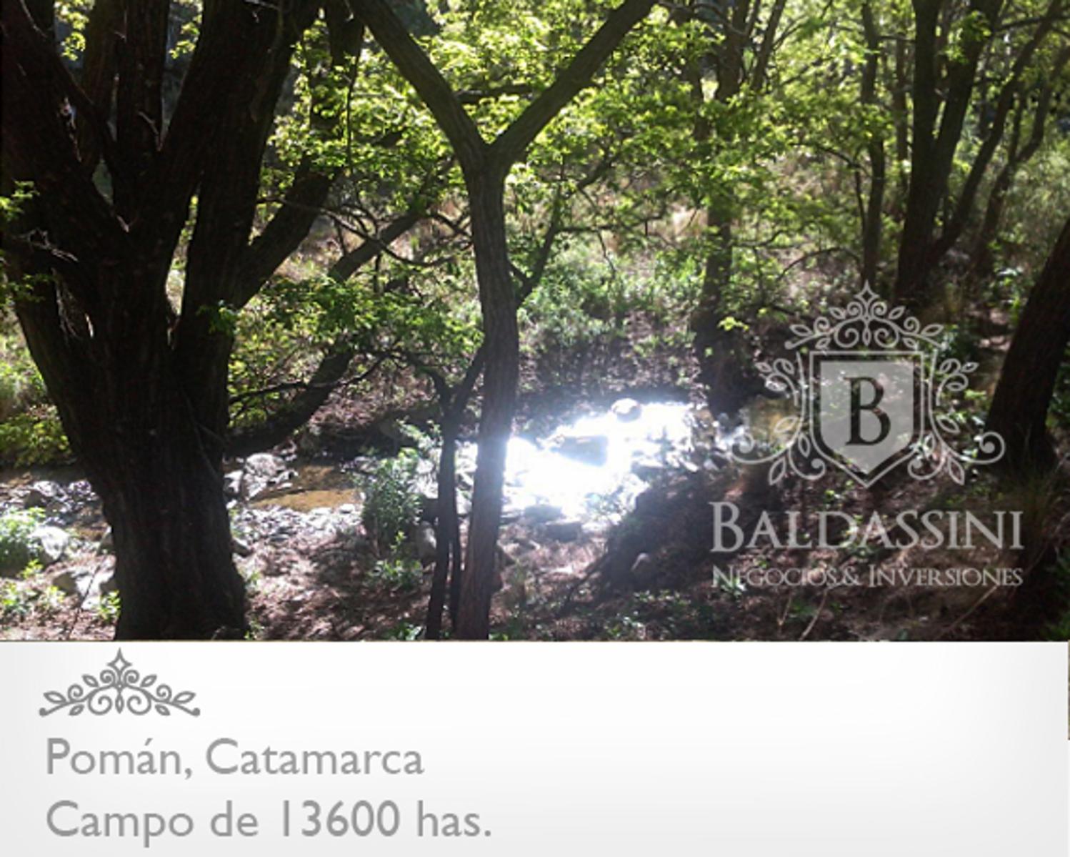 13600 HAS EN POMÁN - CATAMARCA · Pomán — foto 12