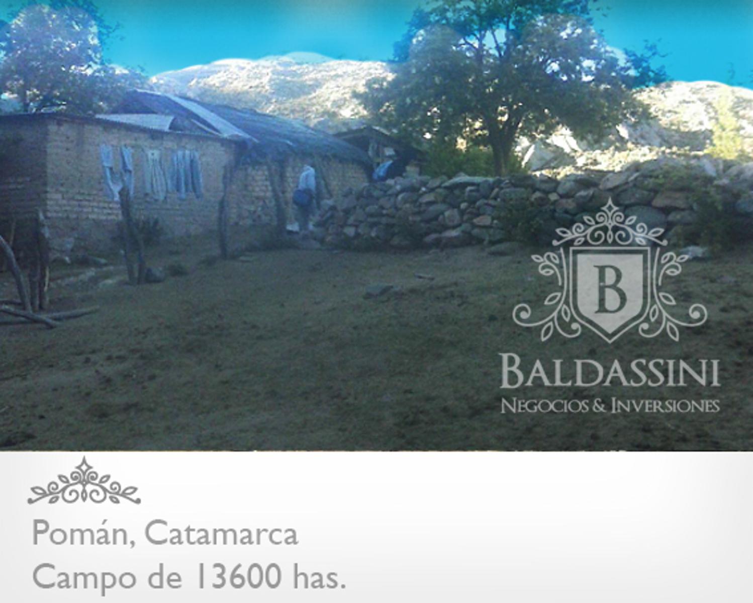 13600 HAS EN POMÁN - CATAMARCA · Pomán — foto 4