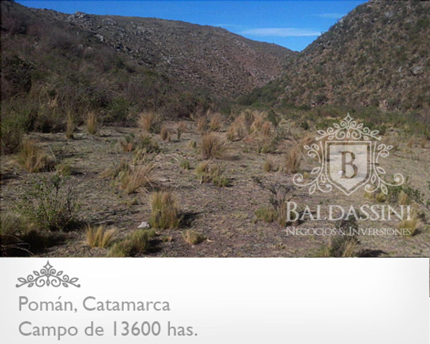 13600 HAS EN POMÁN - CATAMARCA · Pomán — foto 5