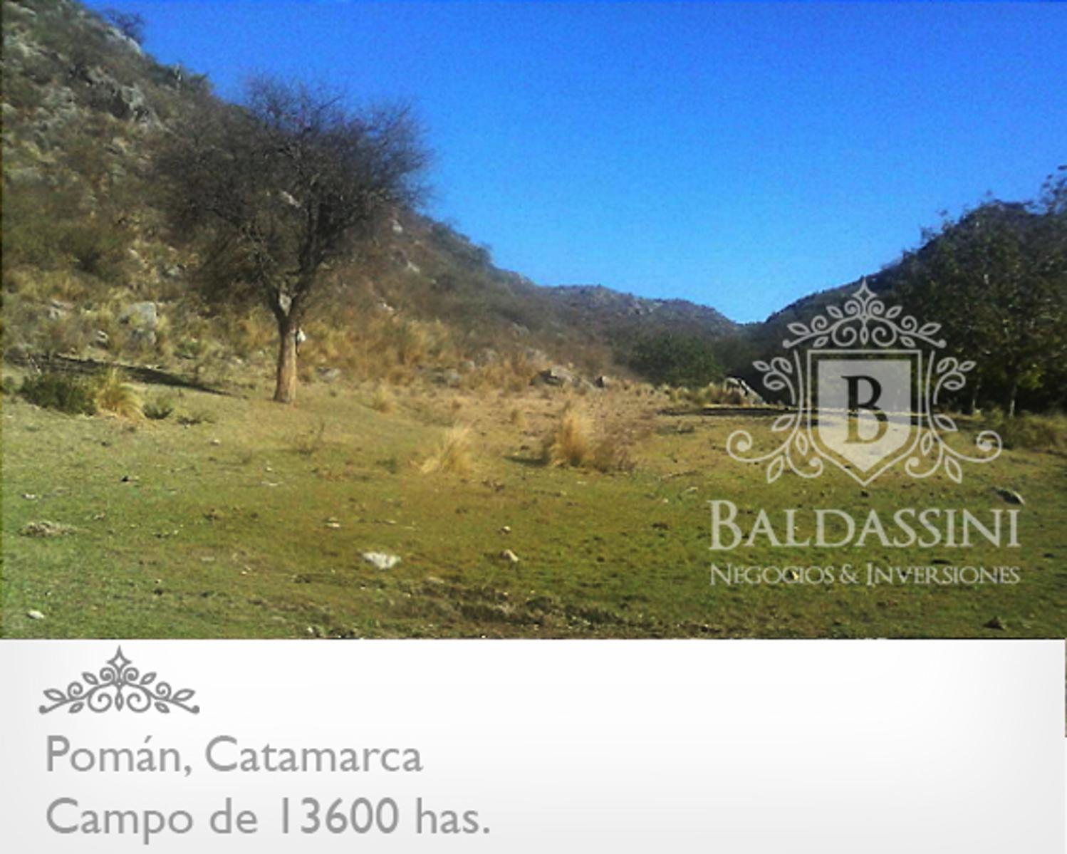 13600 HAS EN POMÁN - CATAMARCA · Pomán — foto 6