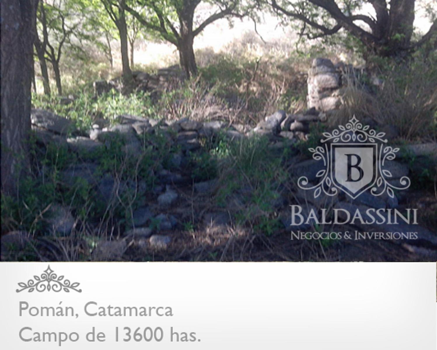 13600 HAS EN POMÁN - CATAMARCA · Pomán — foto 7