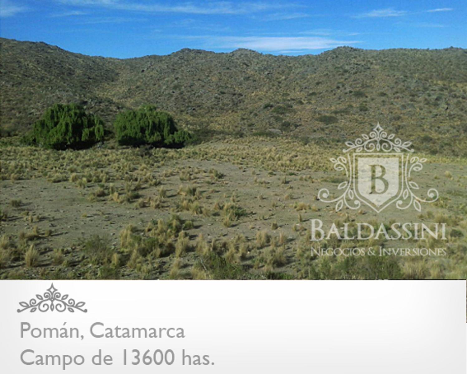 13600 HAS EN POMÁN - CATAMARCA · Pomán — foto 9