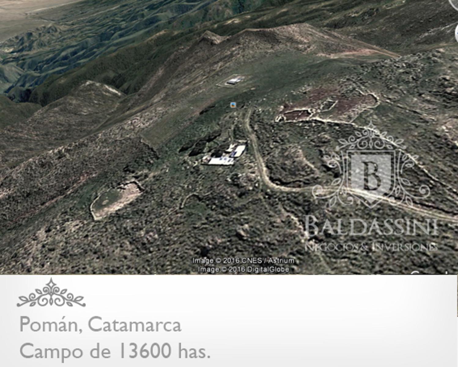 13600 HAS EN POMÁN - CATAMARCA · Pomán — foto 10