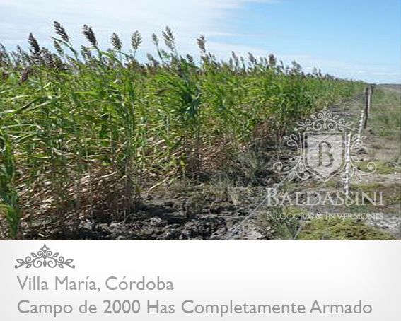 2000 HAS. EN PEDANÍA CALENDARIA NORTE · Río Seco — foto 3