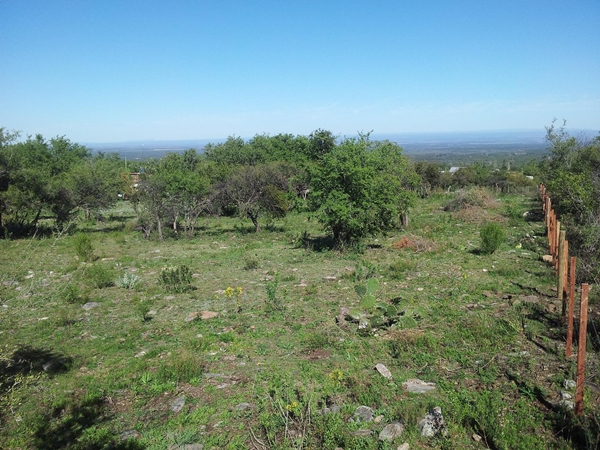 Cerro de Oro- Merlo · Junín — foto 3