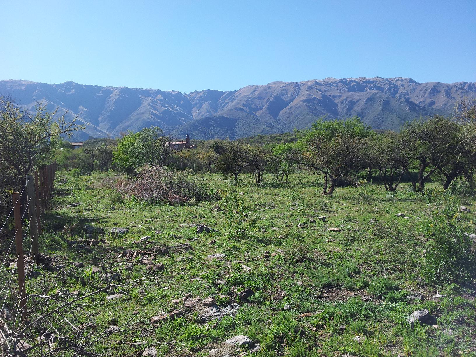 Cerro de Oro- Merlo · Junín — foto 4
