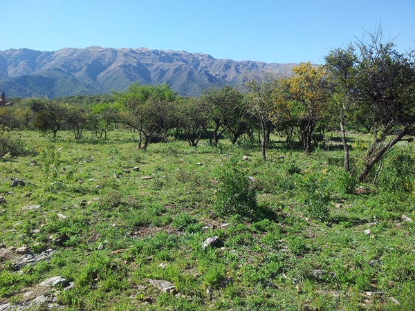 Cerro de Oro- Merlo · Junín — foto 5