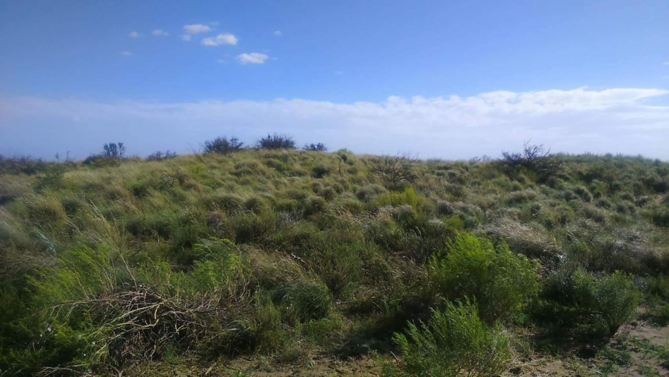 Celman Y Juan B. Justo, Córdoba · Limay Mahuida — foto 4