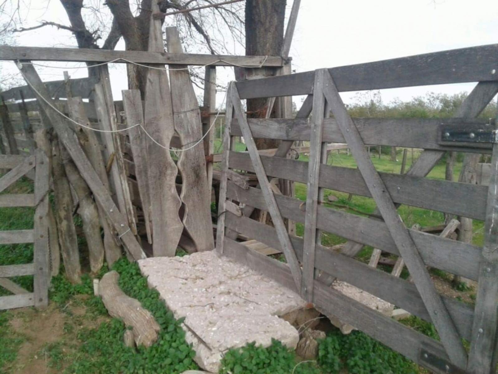 Celman Y Juan B. Justo, Córdoba · Limay Mahuida — foto 5