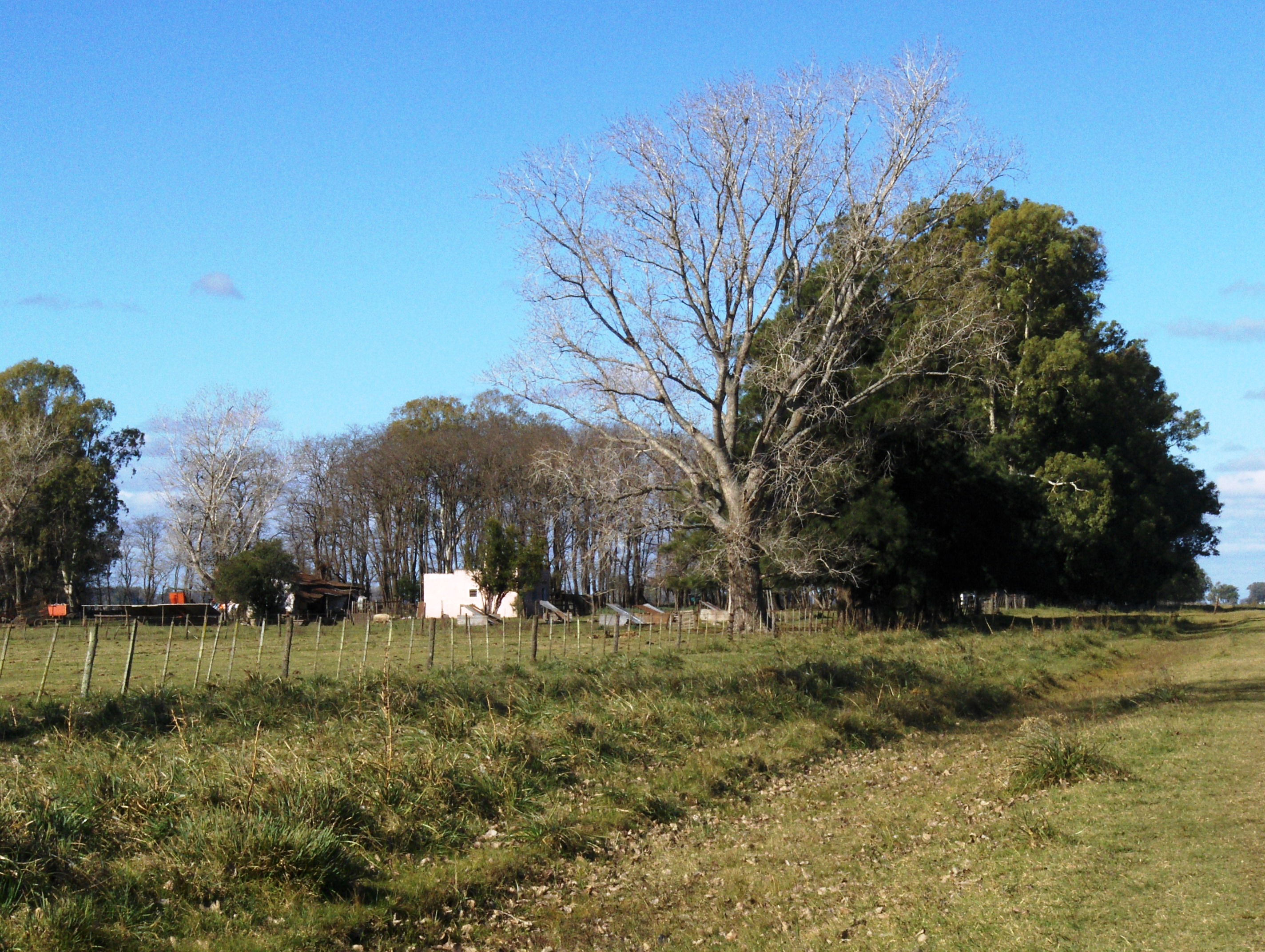 Ruta 3 km. 187 (a 4 km de ruta) · Las Flores — foto 3