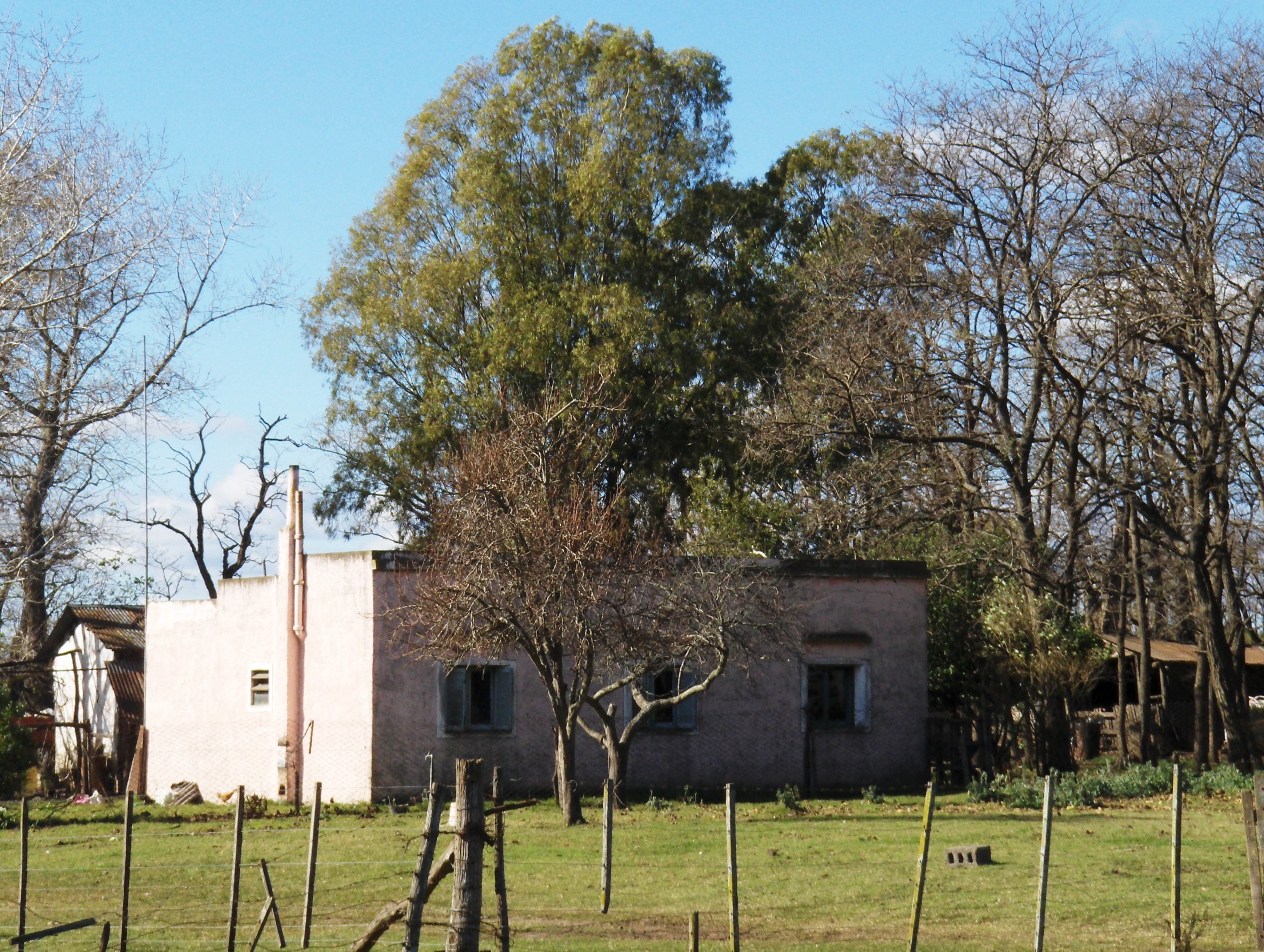 Ruta 3 km. 187 (a 4 km de ruta) · Las Flores — foto 5