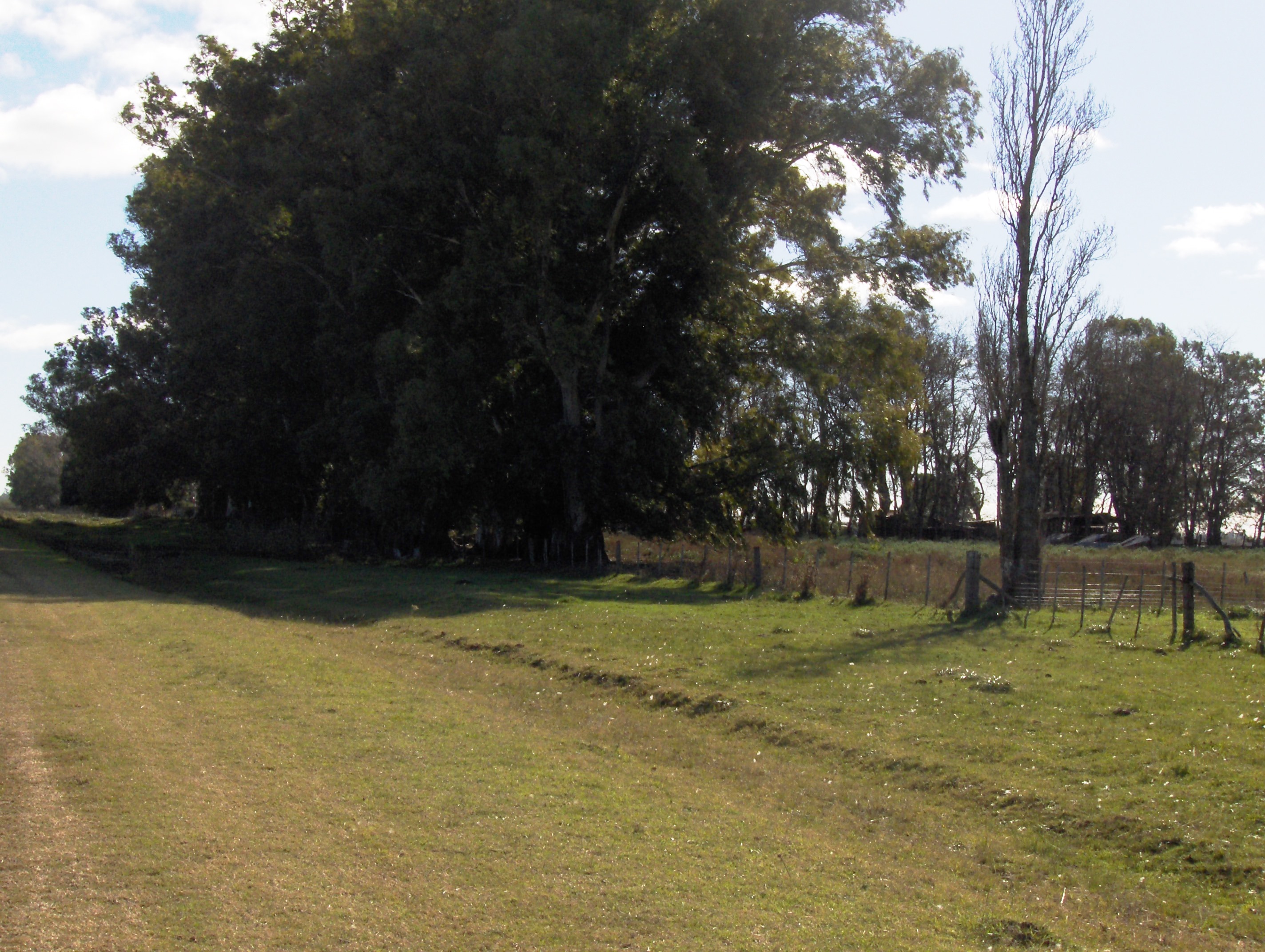 Ruta 3 km. 187 (a 4 km de ruta) · Las Flores — foto 7