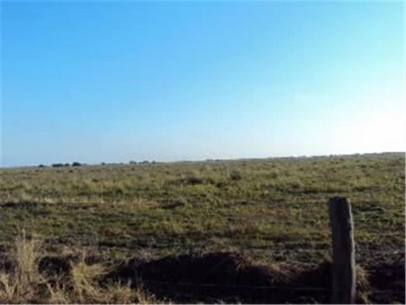 Campo en Saladillo, Sante Fe. 195 ha