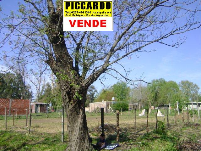 3 lotes en venta B los Troncos Gral. Rodríguez Piccardo