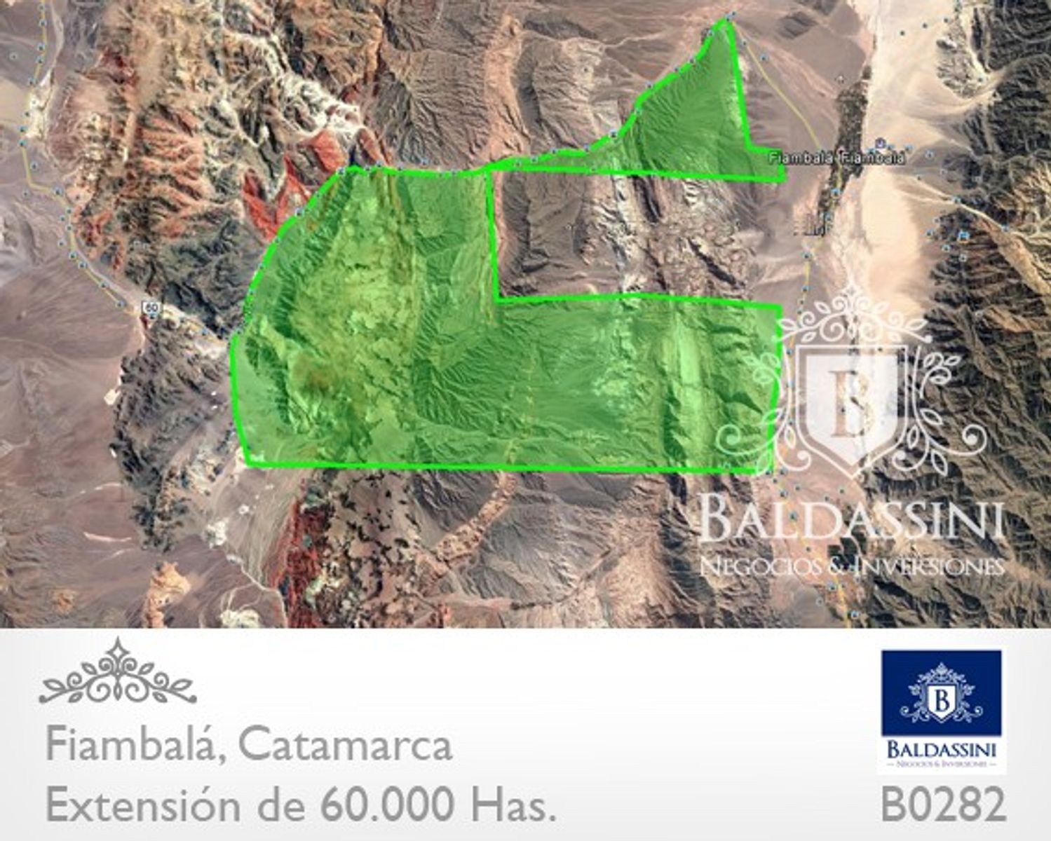 Campo 60.000 ha. Fiambalá, Catamarca