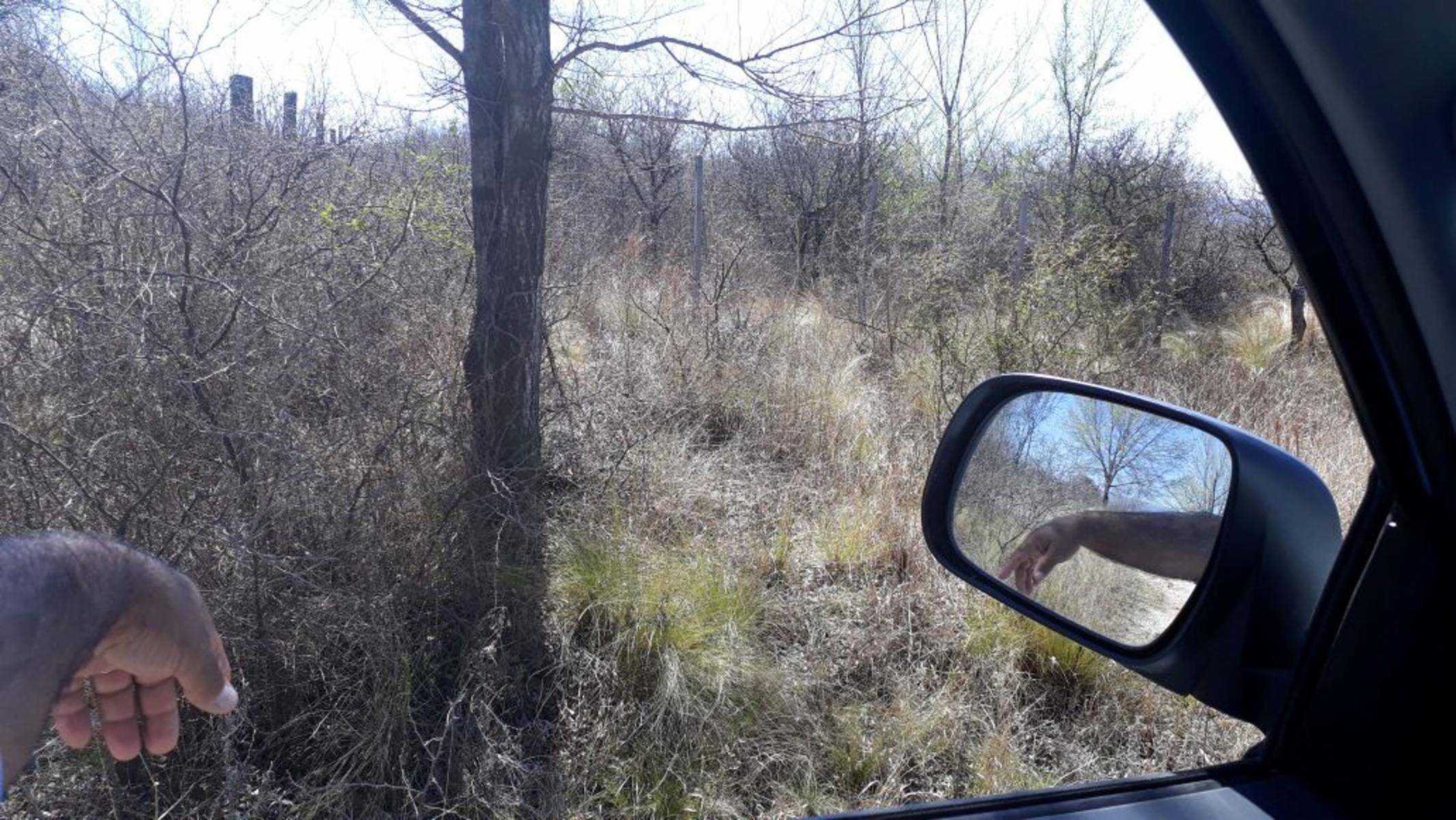 Nºref: 833 -Hermoso terreno en Bialet Masse a 4km aprox de R-38 C/ Hermosa Vista las Sierras