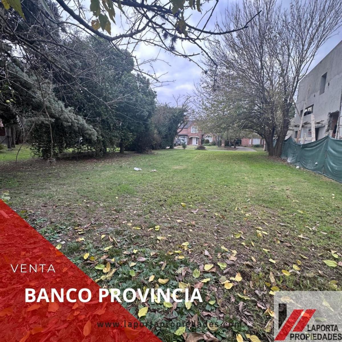 ALMA FUERTE · Moreno — foto 5