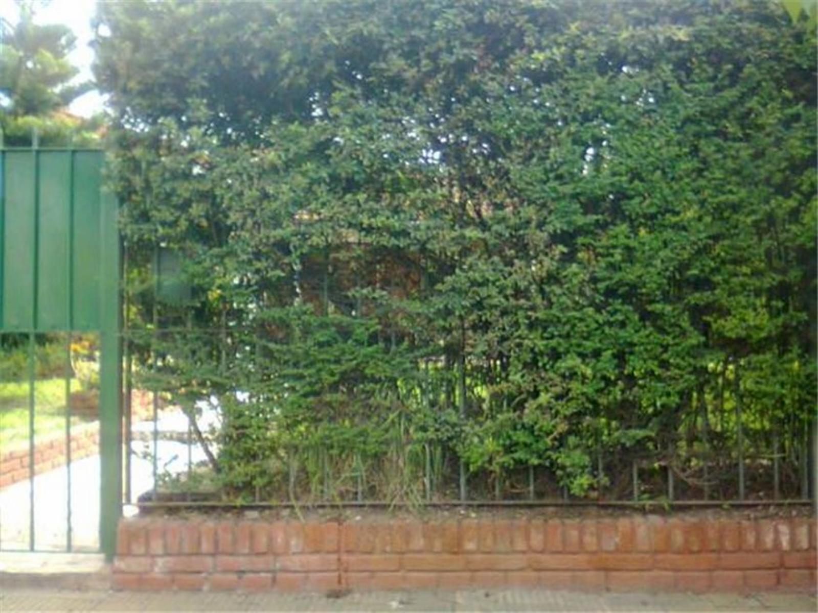 Richeri · San Miguel — foto 5
