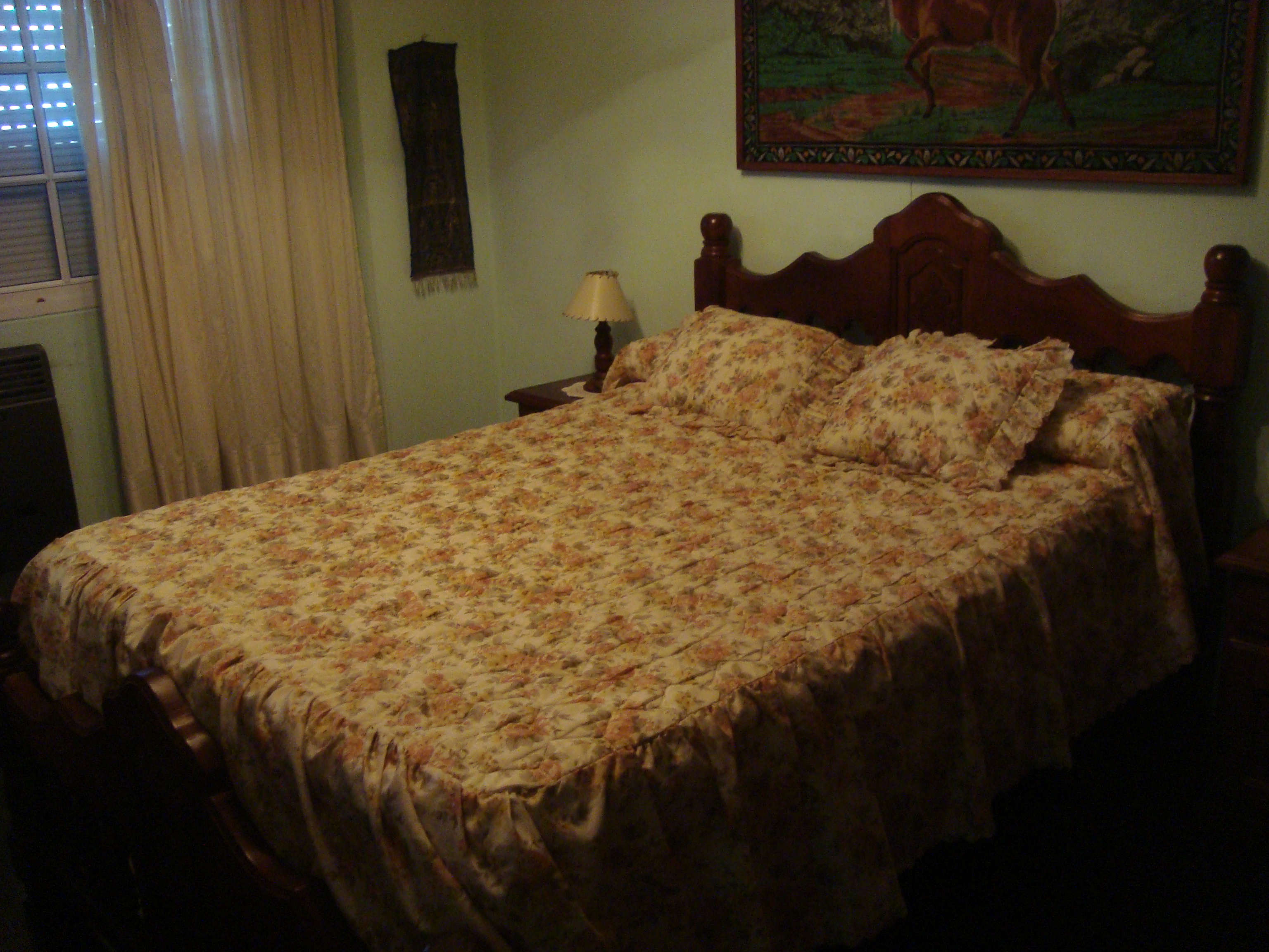 MENDEZ 500 · Almirante Brown — foto 3