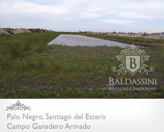 2500 HAS. SOBRE RUTA 34 · Rivadavia — foto 3