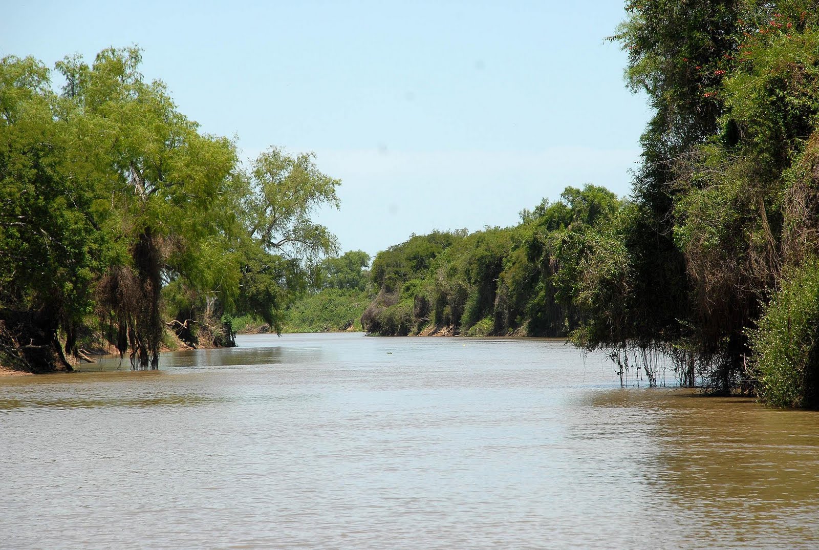 Ruta Nacional 11 km 356 · Iriondo — foto 11