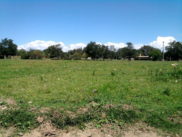 Ruta Nacional 11 km 356 · Iriondo — foto 12