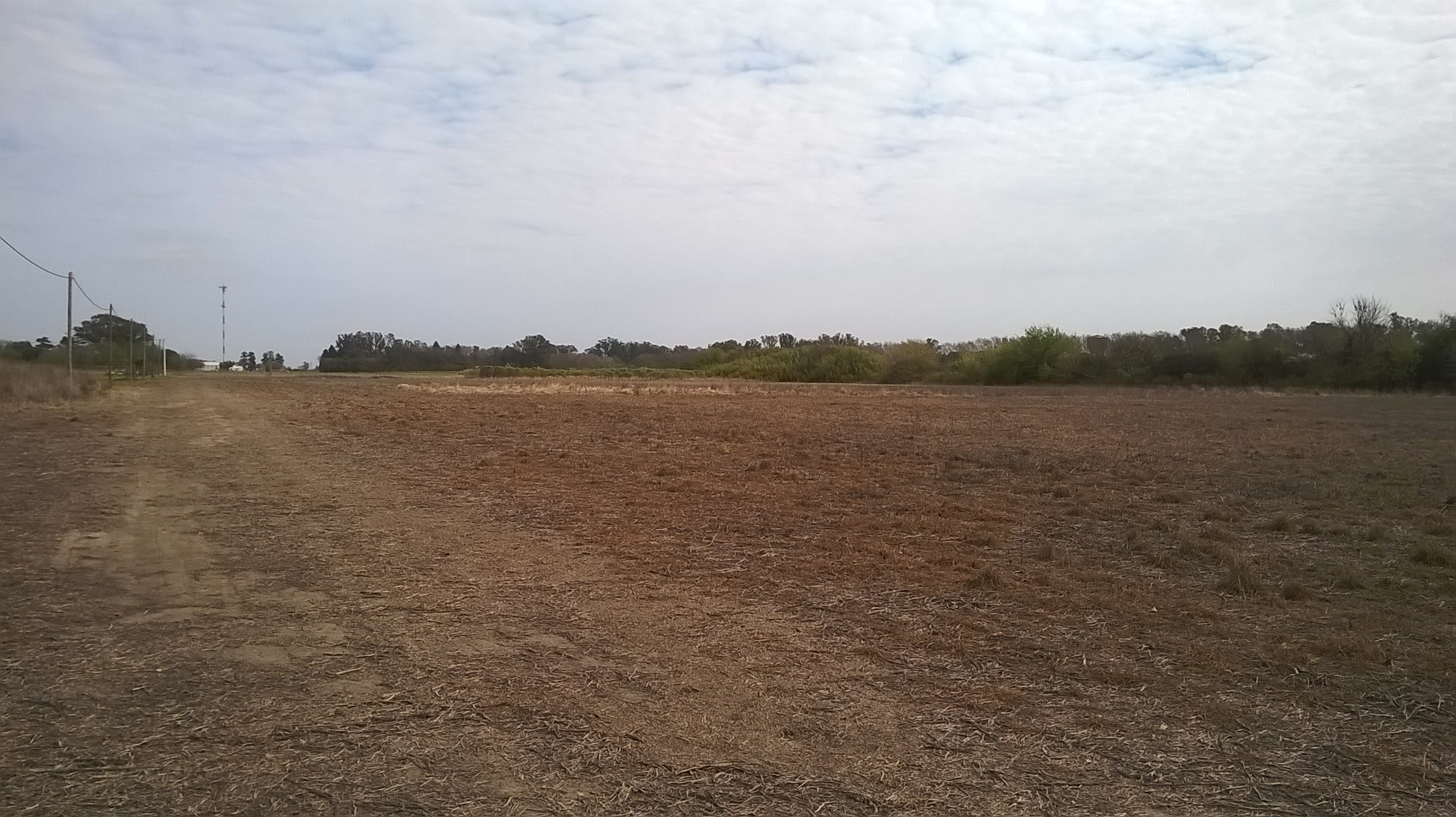 Ruta Nacional 11 km 356 · Iriondo — foto 14