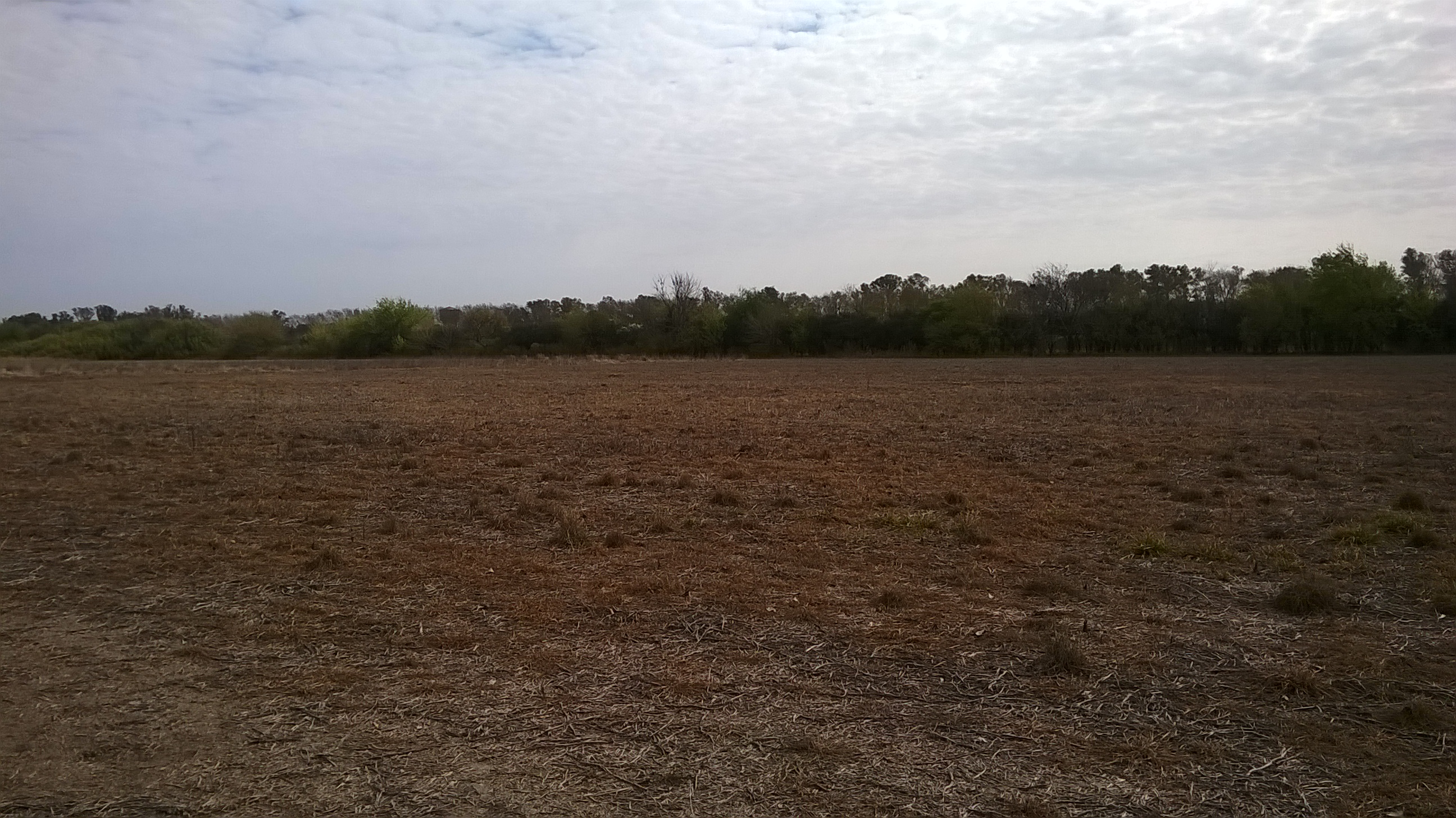 Ruta Nacional 11 km 356 · Iriondo — foto 15