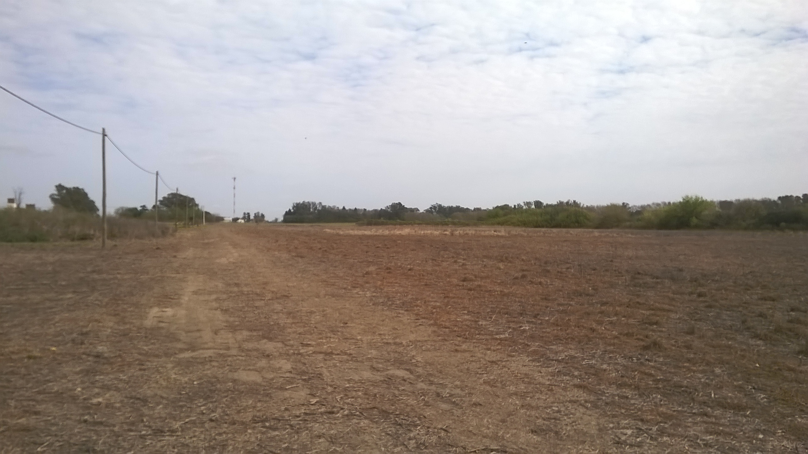 Ruta Nacional 11 km 356 · Iriondo — foto 17