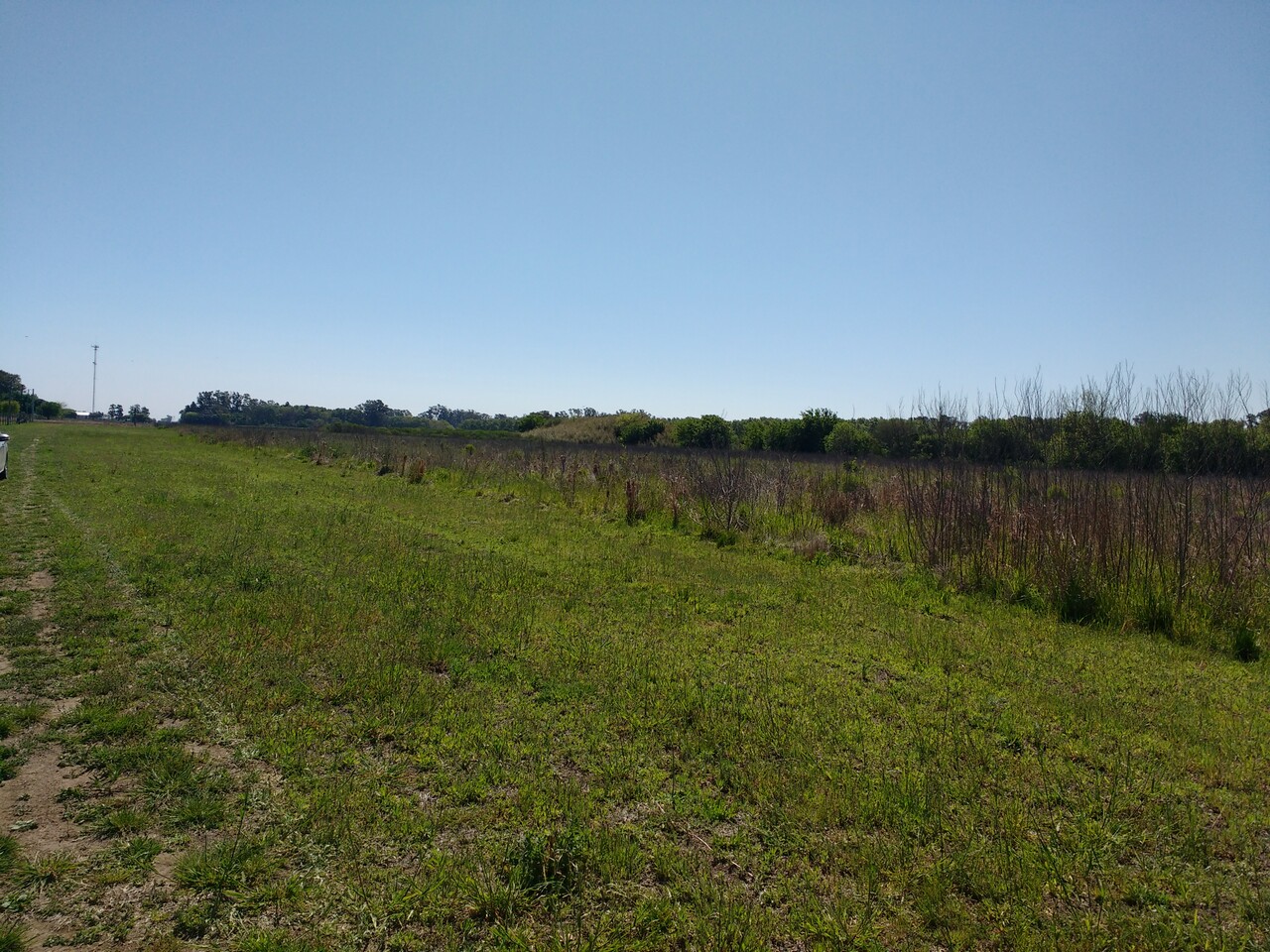 Ruta Nacional 11 km 356 · Iriondo — foto 21
