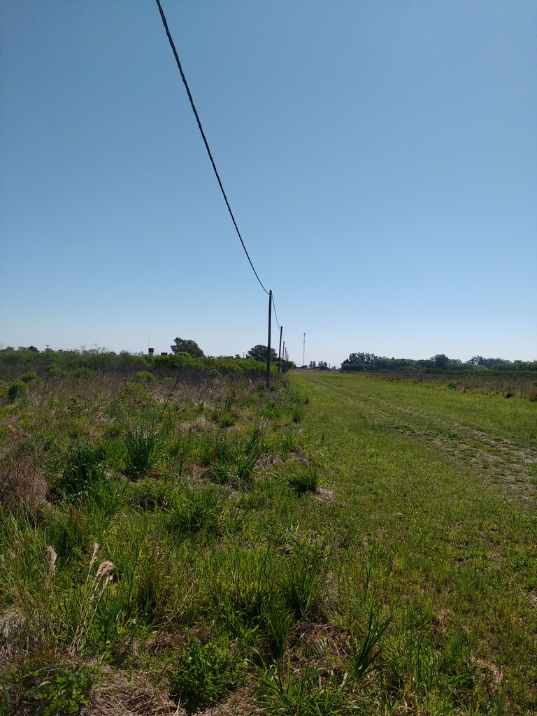Ruta Nacional 11 km 356 · Iriondo — foto 23