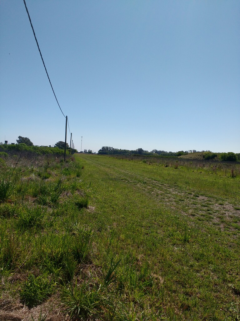 Ruta Nacional 11 km 356 · Iriondo — foto 24