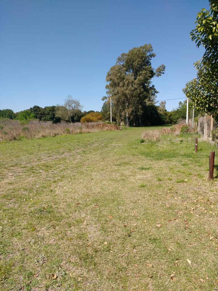 Ruta Nacional 11 km 356 · Iriondo — foto 25