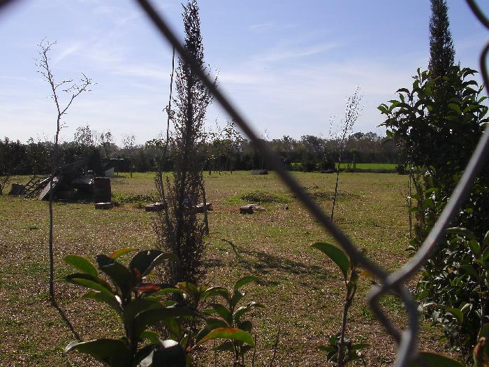 Ruta Nacional 11 km 356 · Iriondo — foto 5