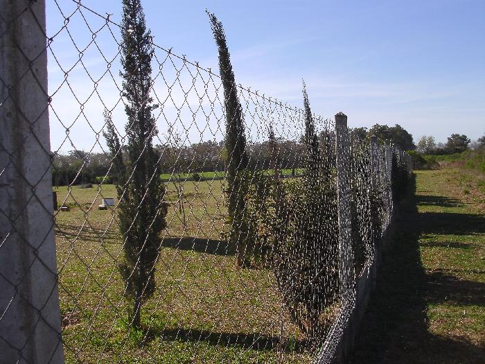 Ruta Nacional 11 km 356 · Iriondo — foto 6