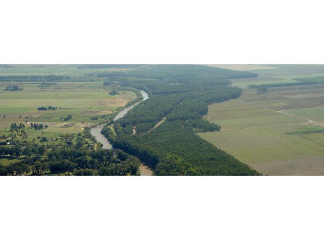 Ruta Nacional 11 km 356 · Iriondo — foto 9
