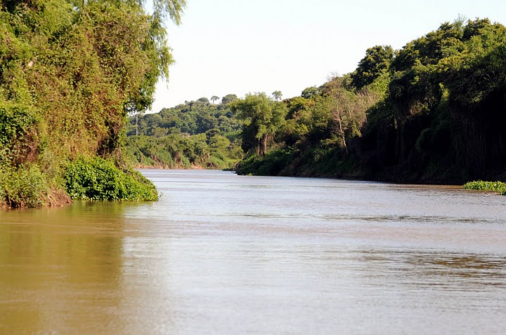 Ruta Nacional 11 km 356 · Iriondo — foto 10