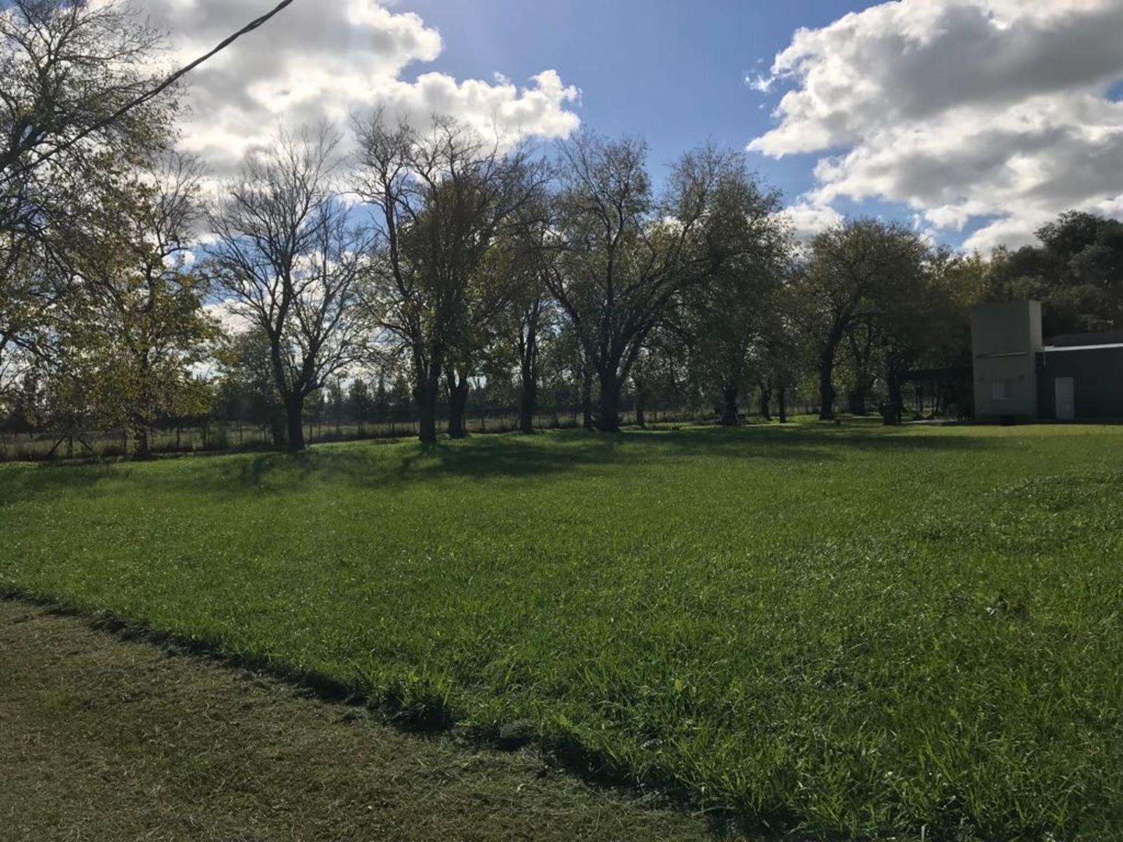 RP41 km 172.5 · Lobos — foto 3