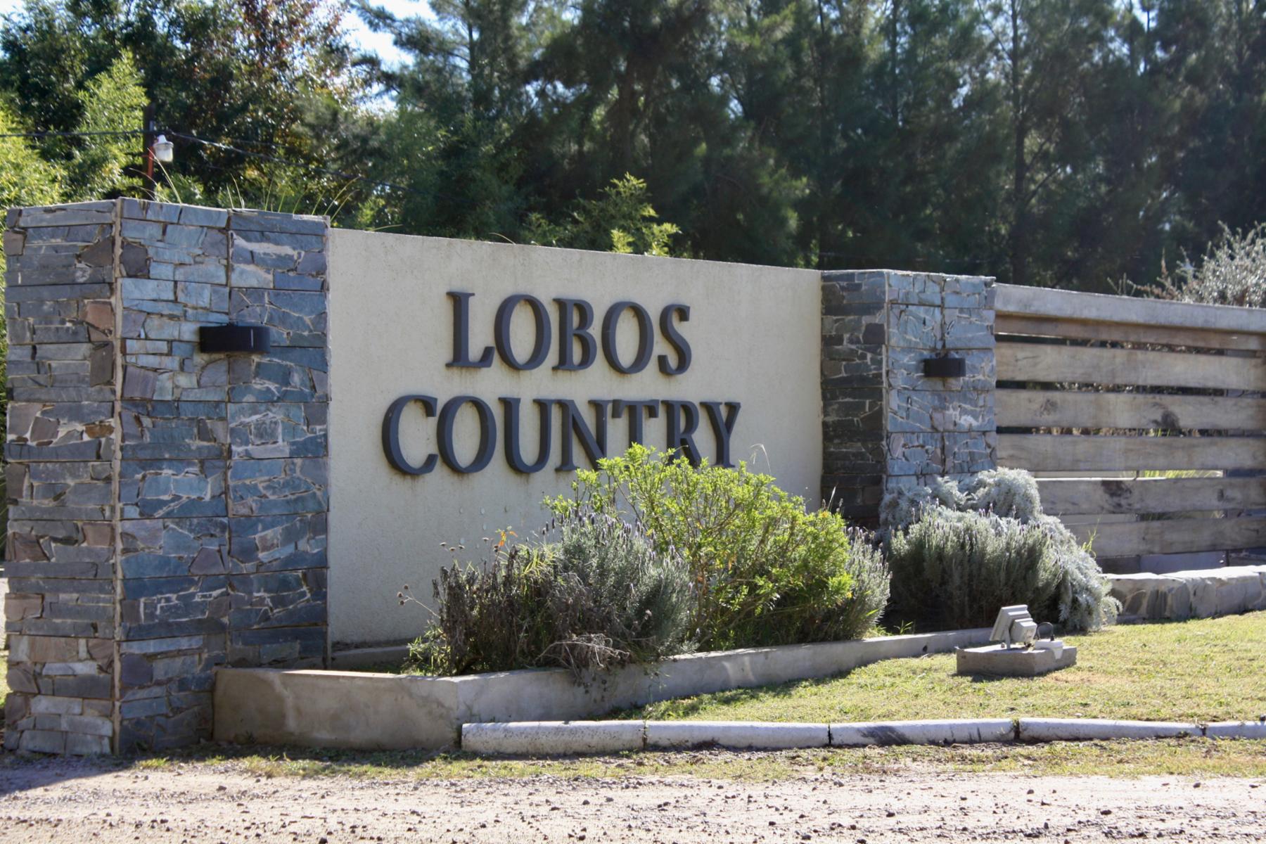 RP41 km 172.5 · Lobos — foto 4