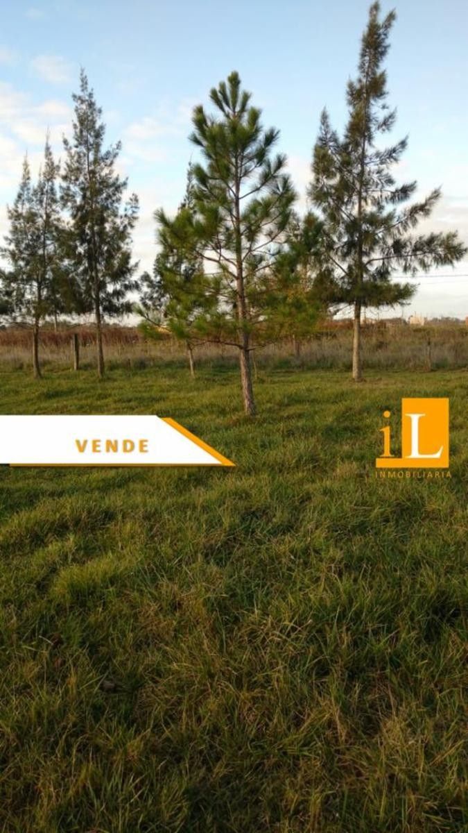 LOTES CON FINANCIACION EN Bº LAS ACACIAS - SOBRE RUTA 210 - BRANDSEN