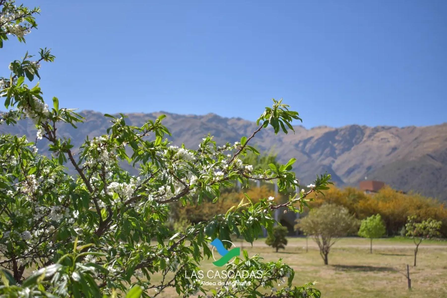 LOS MANDARINOS · Junín — foto 3
